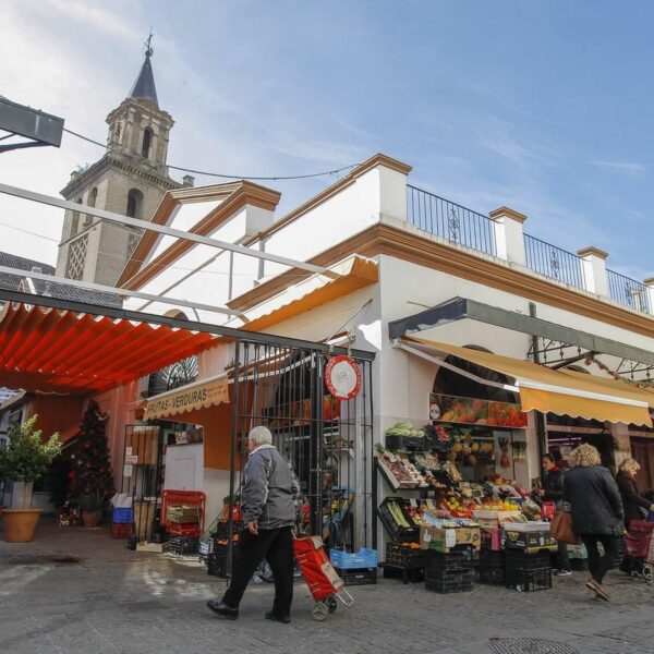Tour-guiado-sevilla-mercados-calle feria-triana